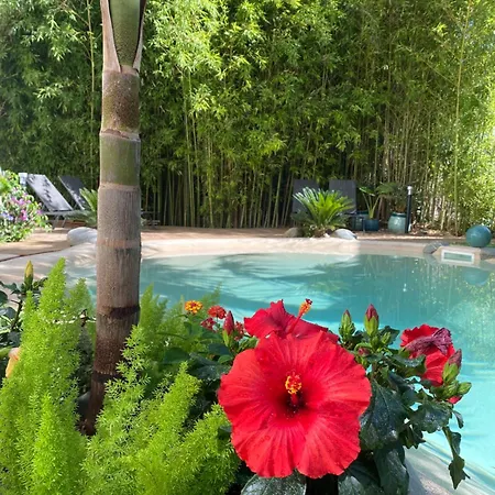 Appt Chalet Centre Calme 2ch/jardin * Tarbes